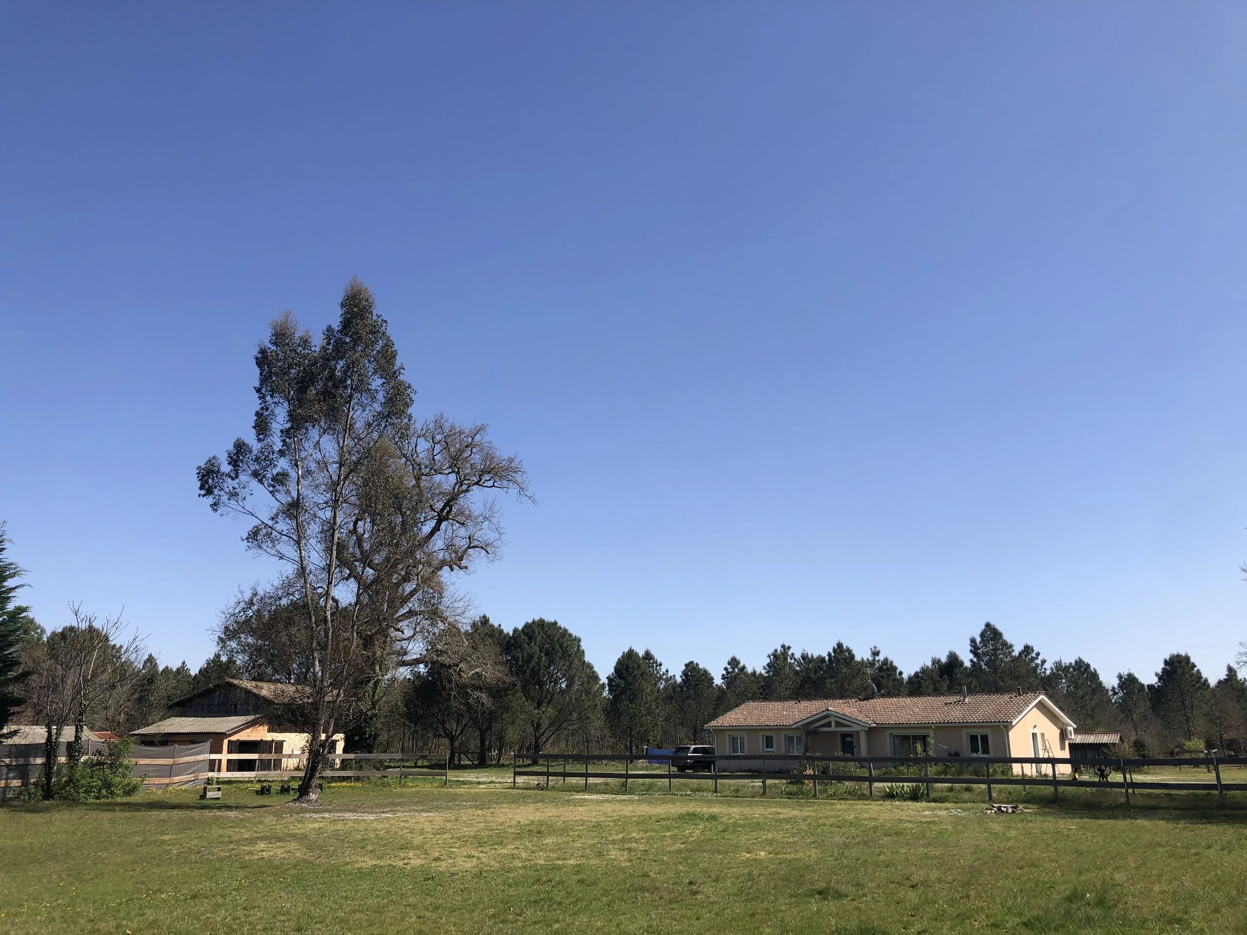 LE TEMPLE - 45 ACRE ESTATE 10 MINUTES FROM THE OCEAN AND 30 MINUTES FROM BORDEAUX