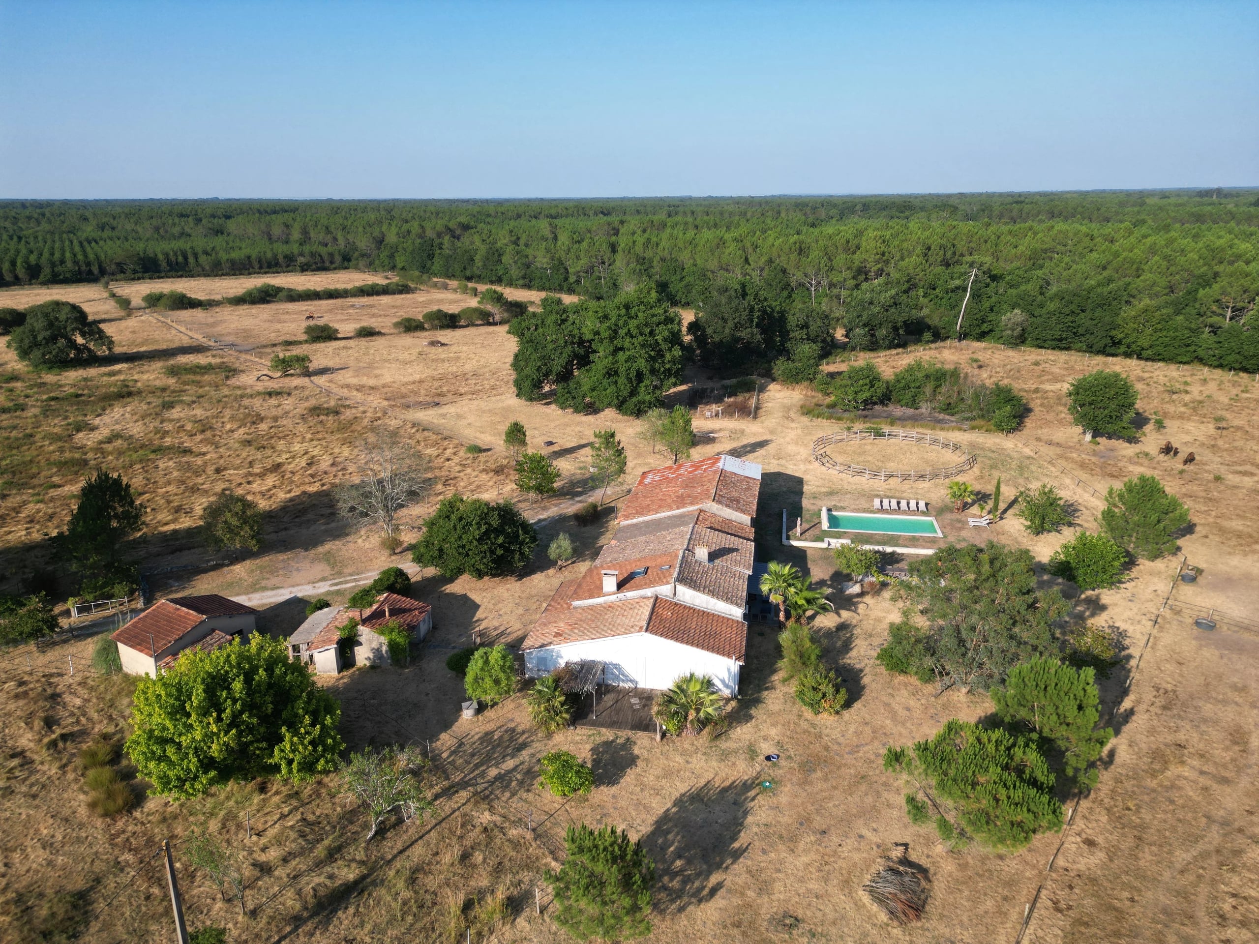 GAILLAN-EN-MÉDOC : 25 ACRE FARMHOUSE 7 KMS FROM THE OCEAN